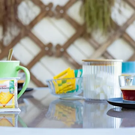 Le Terminal Zen - Clim - Airport - Tramway 公寓