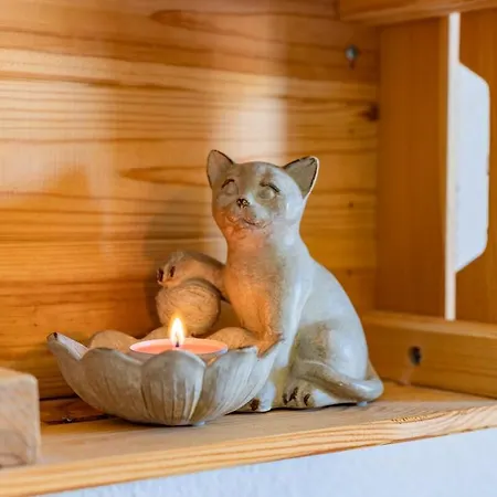 Le Terminal Zen - Clim - Airport - Tramway