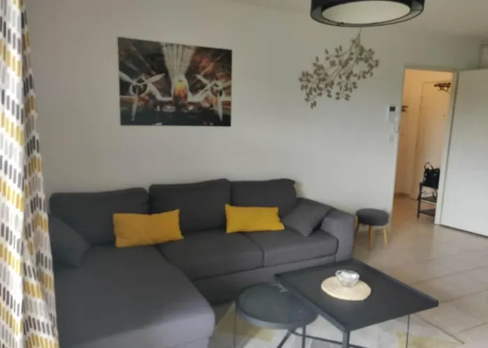 公寓 Le Terminal Zen - Clim - Airport - Tramway